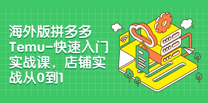 外版拼多多Temu-快速入门实战课，店铺实战从0到1（12节课）插图