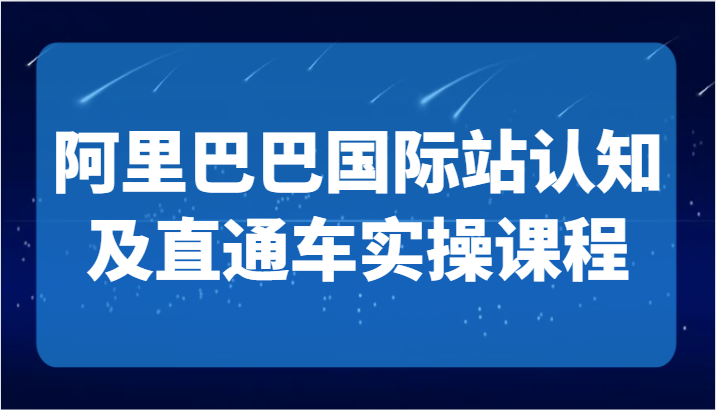 阿里巴巴国际站认知及直通车实操课-国际地产逻辑、国际站运营定位、TOP商家运营思路插图