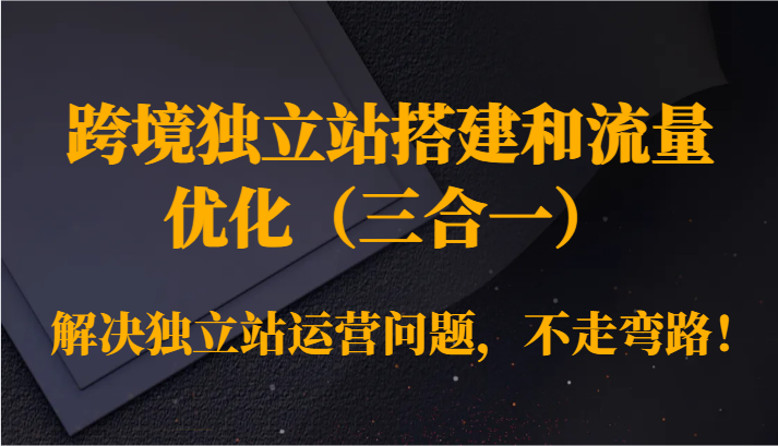 跨境独立站搭建和流量优化（三合一）解决独立站运营问题，不走弯路！插图