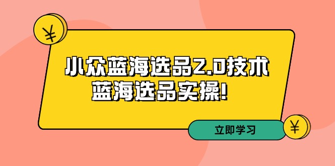 拼多多培训第33期：小众蓝海选品2.0技术-蓝海选品实操插图