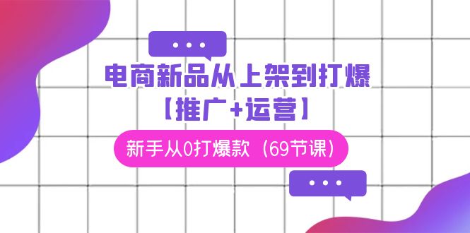 电商新品从上架到打爆【推广+运营】，新手从0打爆款（69节课）插图