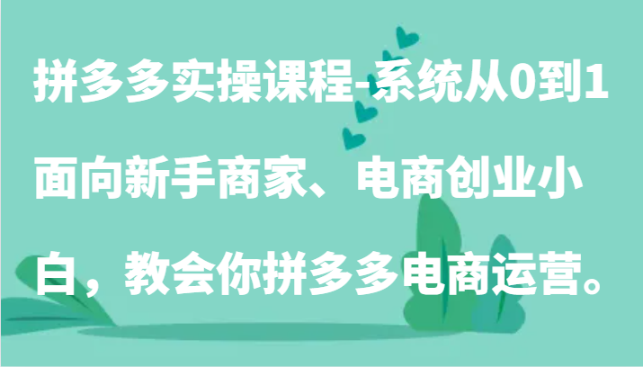 拼多多实操课程-系统从0到1，面向新手商家、电商创业小白，教会你拼多多电商运营。插图