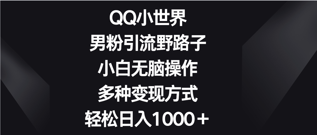 QQ小世界男粉引流野路子，小白无脑操作，多种变现方式轻松日入1000＋插图