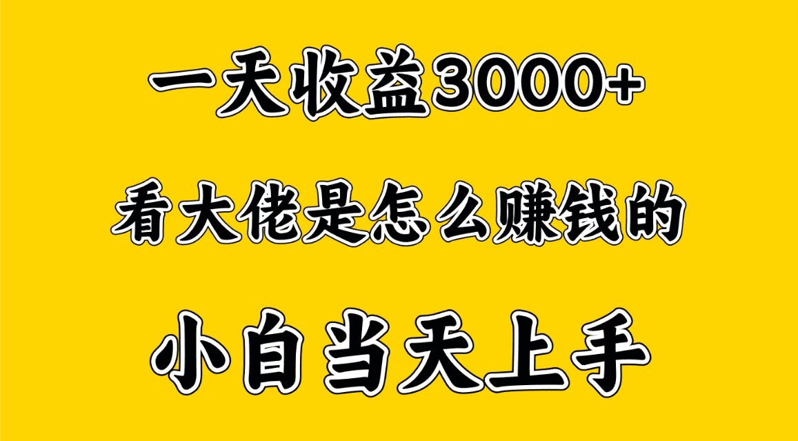 一天赚3000多，大佬是这样赚到钱的，小白当天上手，穷人翻身项目插图