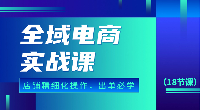 全域电商实战课，个人店铺精细化操作流程，出单必学内容（18节课）插图