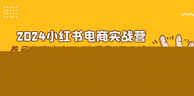 2024小红书电商实战营，养号打造IP/选爆品/开店铺/爆款笔记/等等（24节）插图