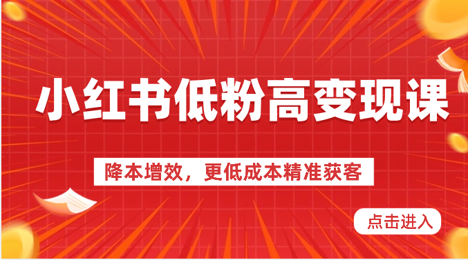 小红书低粉高变现课-降本增效，更低成本精准获客，小红书必爆的流量密码插图