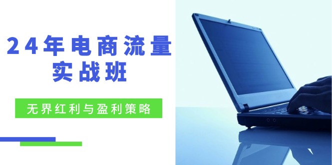 电商流量实战班：无界红利与盈利策略，终极提升/关键词优化/精准人群拓展/创新玩法插图