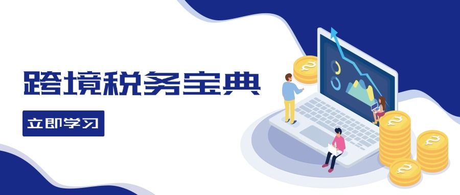 跨境税务宝典教程：跨境电商全球税务处理策略插图