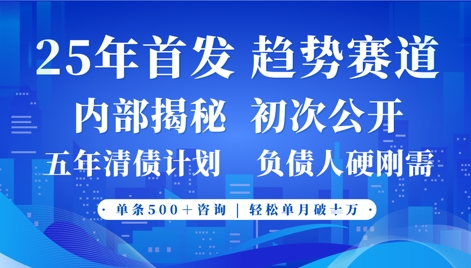 2025年首次公开，真正的事业型赛道，客咨不断，单月轻松破W插图
