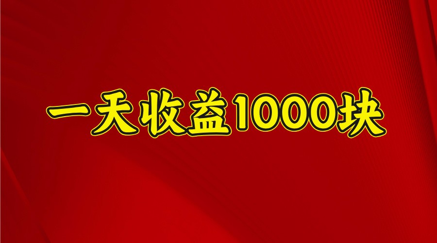 一天收益1000块，2025全网首发插图