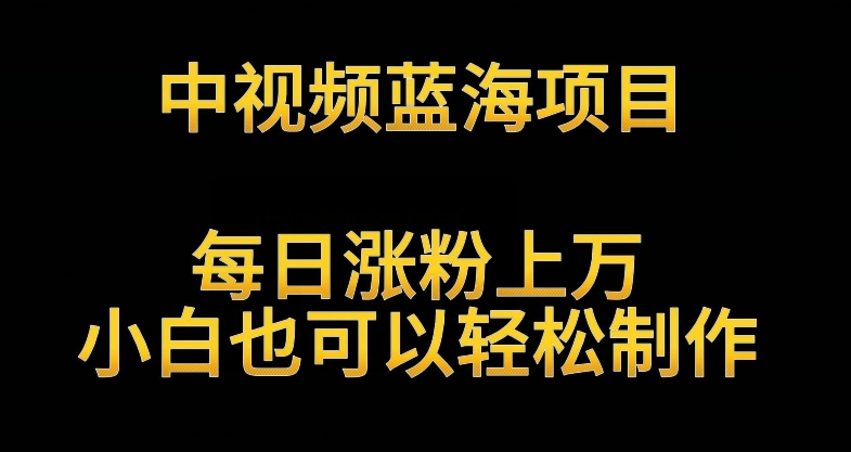 中视频蓝海项目，解读英雄人物生平，每日涨粉上万，小白也可以轻松制作，月入过万不是梦插图