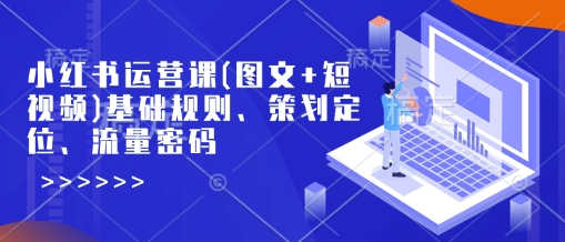 小红书运营课(图文+短视频)基础规则、策划定位、流量密码插图