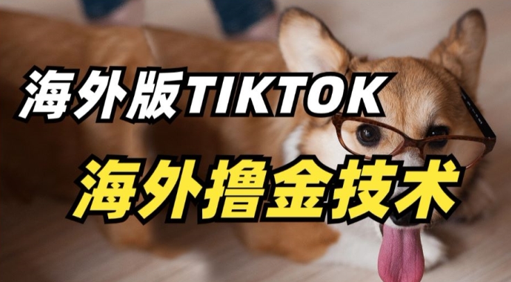 抖音海外版tiktok撸金技术，这个风口行业，赚钱真的不难插图