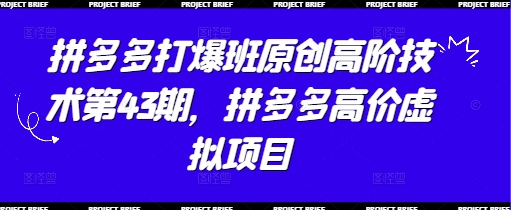 拼多多打爆班原创高阶技术第43期，拼多多高价虚拟项目插图