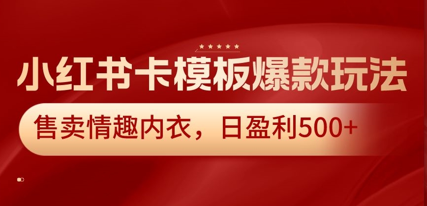 小红书卡模板爆款玩法，售卖情趣内衣，日盈利500+插图