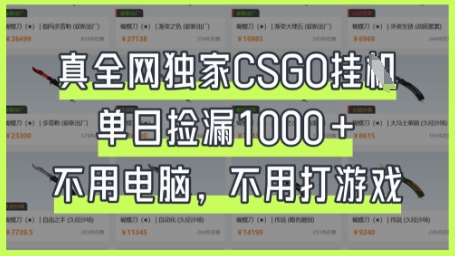 真全网独家CSGO挂G，单日捡漏1k+插图