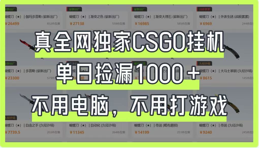真全网独家CSGO挂机，单日捡漏1000+，不用电脑，不用养号插图