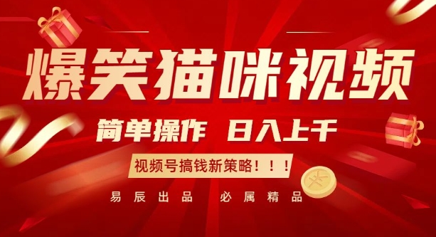 爆笑猫咪视频：简单操作，日入过K，视频号搞钱新策略插图