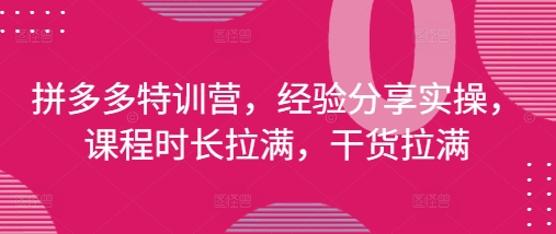 拼多多特训营，经验分享实操，课程时长拉满，干货拉满(更新25年4月)插图