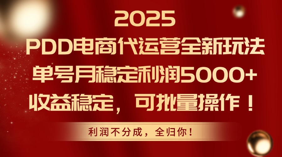 2025PDD电商代运营全新玩法，单号月稳定利润5000+，收益稳定，可批量操作插图