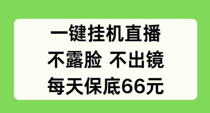 一键挂JI直播，不露脸不出境，每天保底66元插图