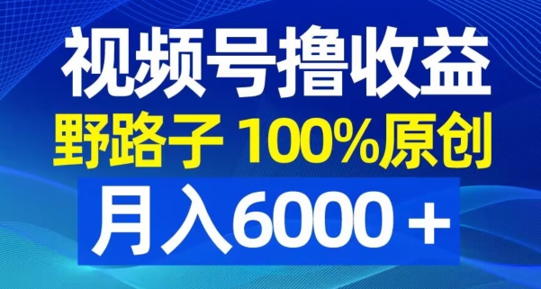 视频号野路子撸收益，100%原创，条条爆款，月入6000＋插图