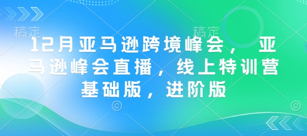 12月亚马逊跨境峰会， 亚马逊峰会直播，线上特训营基础版，进阶版插图