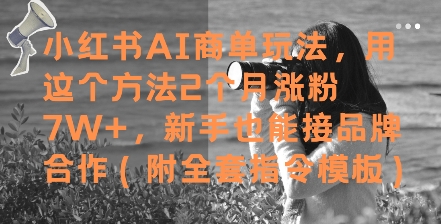 小红书AI商单玩法，用这个方法2个月涨粉7W+，新手也能接品牌合作(附全套指令模板)插图