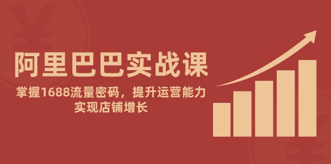 阿里巴巴实战课：掌握1688流量密码，提升运营能力，实现店铺增长插图