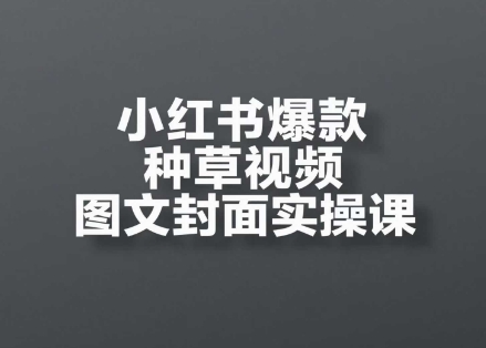 小红书爆款种草视频图文封面实操课，​开店、选品、引流、变现全流程插图