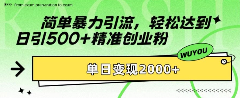 简单暴力引流，轻松达到日引500+精准创业粉，单日变现2k插图