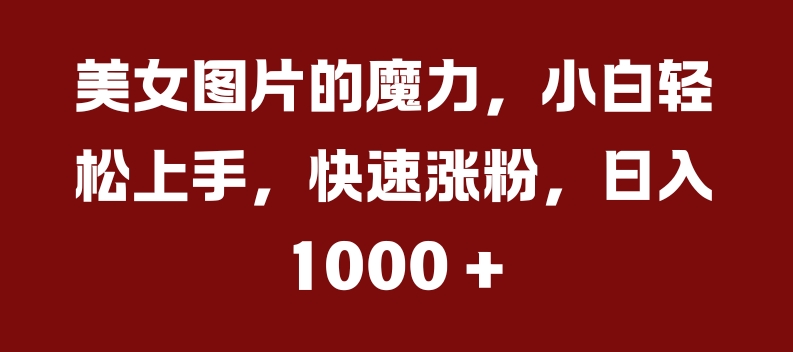 美女图片的魔力，小白轻松上手，快速涨粉，日入几张插图