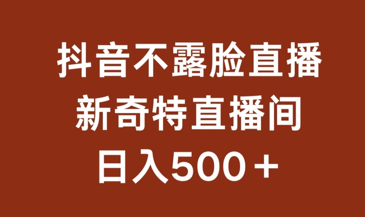 不露脸挂机直播，新奇特直播间，日入500+插图