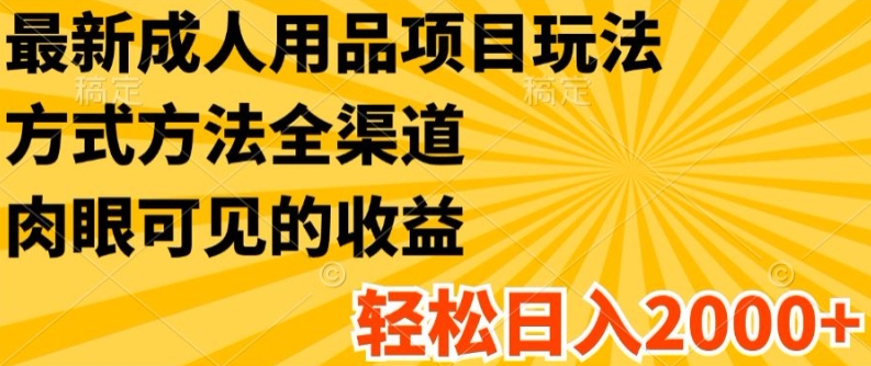 最新成人用品项目玩法，方式方法全渠道，轻松日入2K+插图