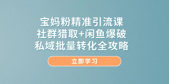 宝妈粉精准引流课，社群猎取+闲鱼爆破，私域批量转化全攻略插图