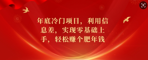 年底冷门项目，利用信息差，实现零基础上手，轻松赚个肥年钱插图