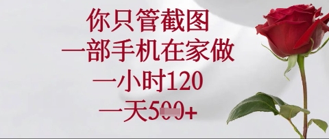 你只管截图，一部手机在家操作，一小时120.一天5张插图