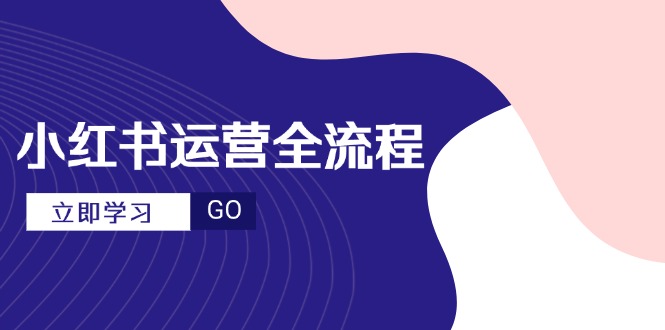 小红书运营全流程，爆款选题文案，视频制作技巧，进阶达人宝典插图