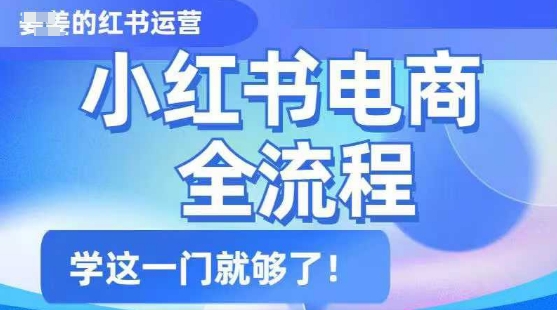 小红书电商全流程，精简易懂，从入门到精通，学这一门就够了插图