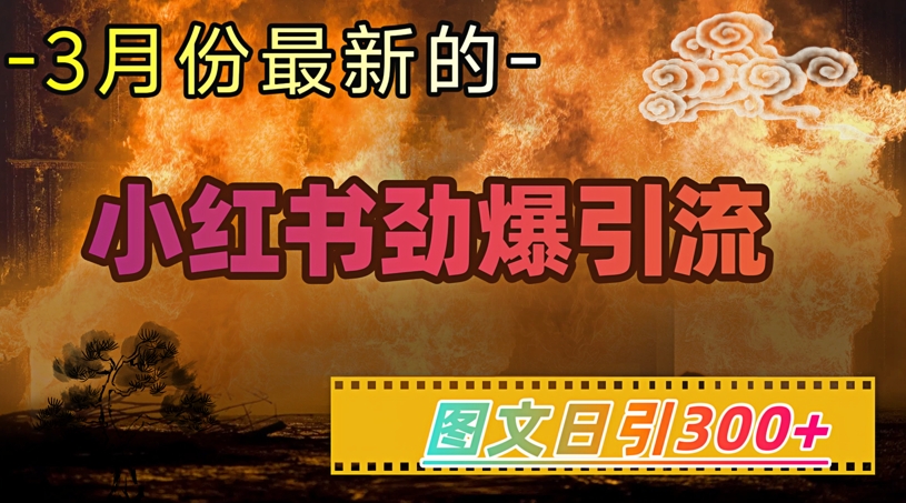 小红书超劲爆引流手段，图文日引300+轻松变现1W插图
