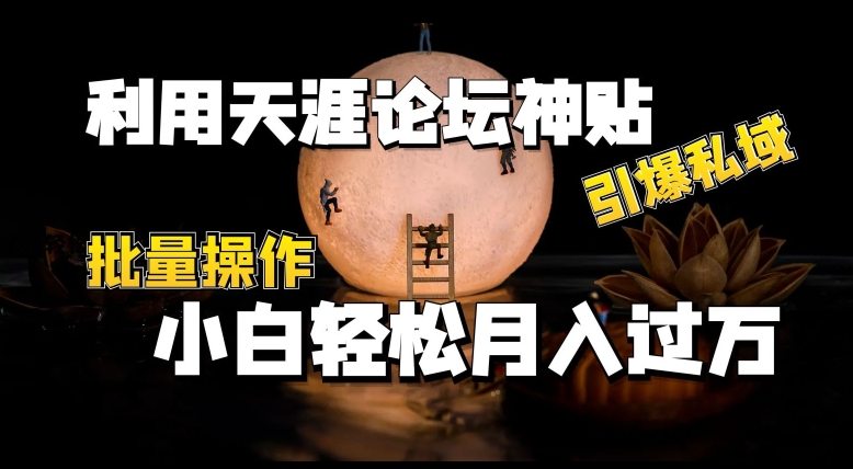 利用天涯论坛神贴，引爆私域，批量操作，小白轻松月入过w插图
