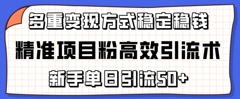精准项目粉高效引流术，新手单日引流50+，多重变现方式稳定赚钱插图