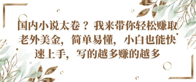 国内小说太卷 ?带你轻松赚取老外美金，简单易懂，小白也能快速上手，写的越多赚的越多插图