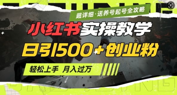 2月小红书最新日引500+创业粉实操教学【超详细】小白轻松上手，月入1W+，附小红书养号起号SOP插图