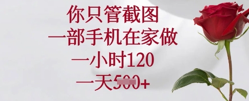 你只管截图，一部手机在家做，一小时120.一天5张插图