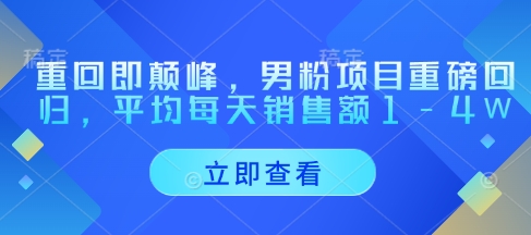 重回即颠峰，男粉项目重磅回归，平均每天销售额1-4W插图