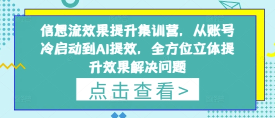 信息流效果提升集训营，从账号冷启动到AI提效，全方位立体提升效果解决问题插图