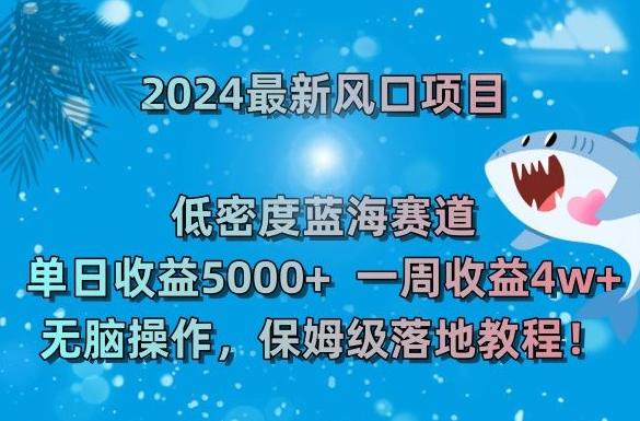 2024最新风口项目，低密度蓝海赛道，单日收益5000+，一周收益4w+！插图