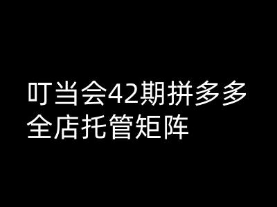 叮当会拼多多打爆班原创高阶技术第42期，拼多多全店托管矩阵插图